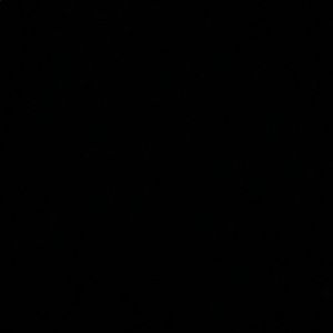 Meet your Posher, Cash